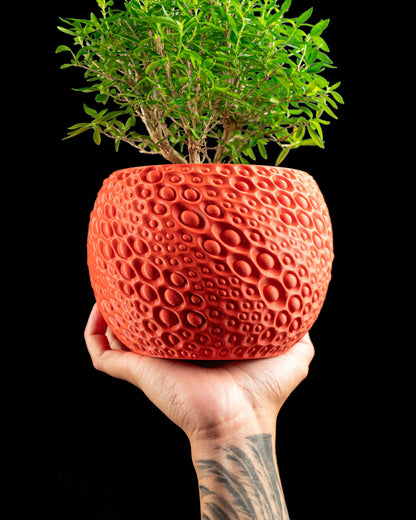 Planter pot, geometric succulent desktop container, minimalist japandi organizer