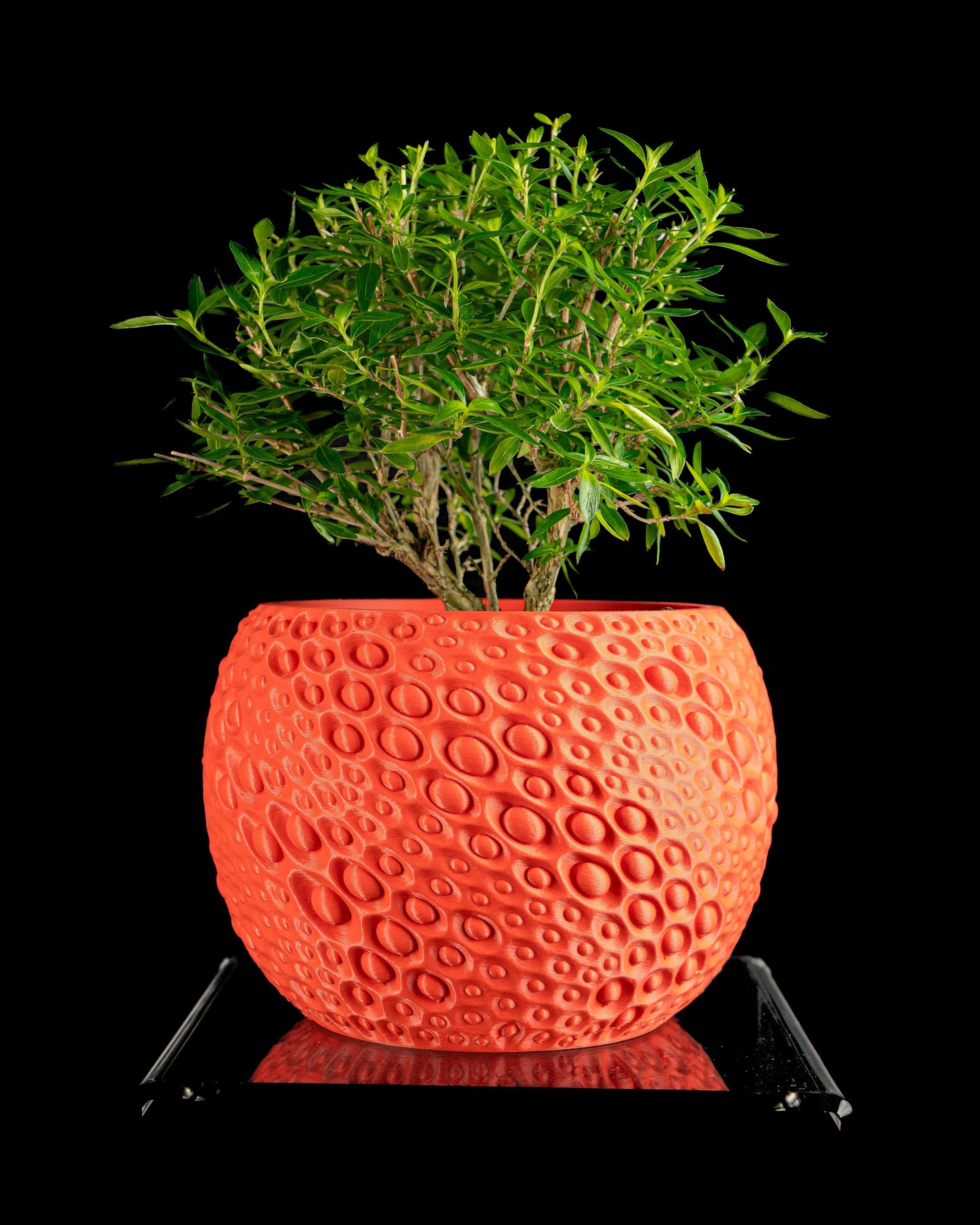 Planter pot, geometric succulent desktop container, minimalist japandi organizer