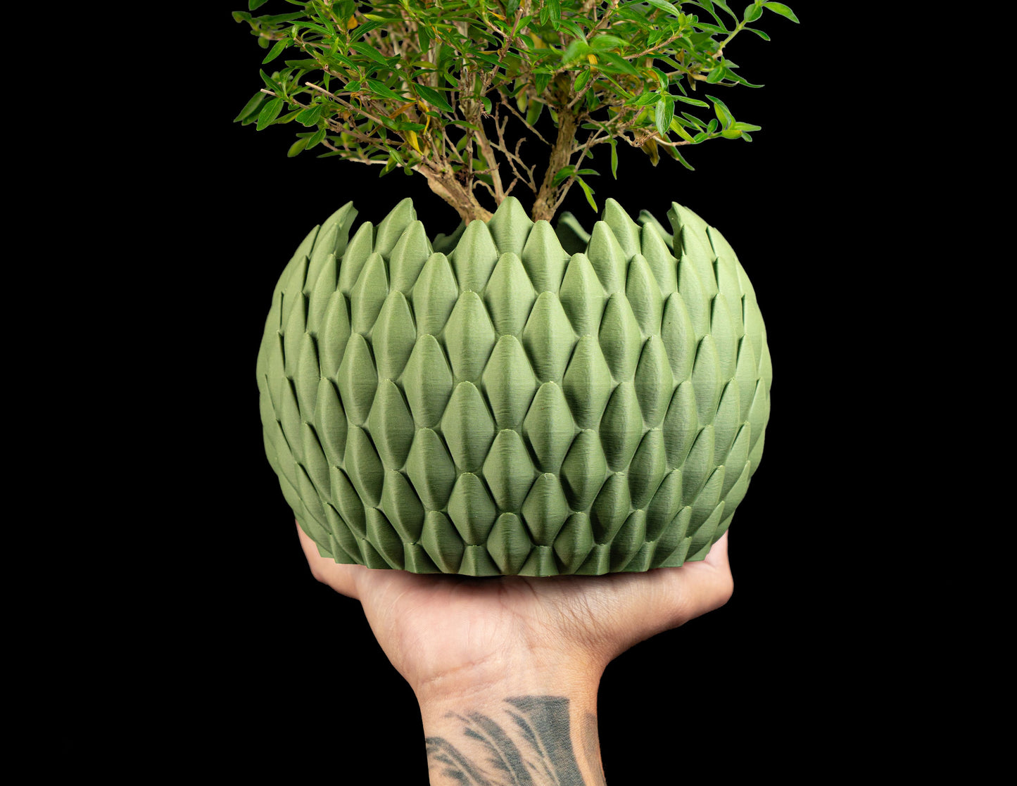 succulent planter, DragonScale geometric holder, Japandi desktop organizer, modern accent