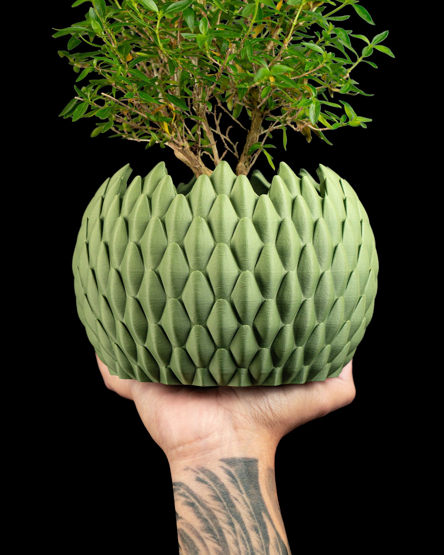 succulent planter, DragonScale geometric holder, Japandi desktop organizer, modern accent