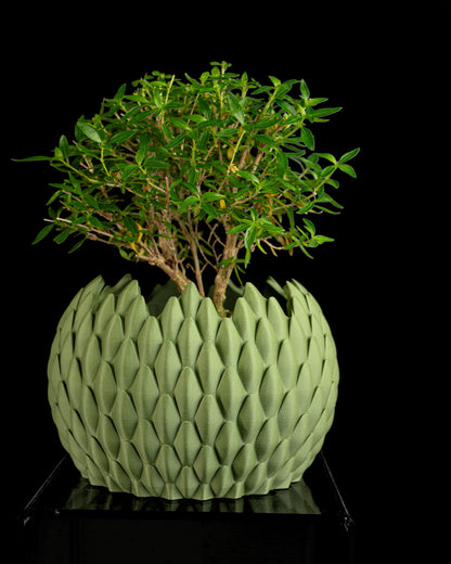 succulent planter, DragonScale geometric holder, Japandi desktop organizer, modern accent