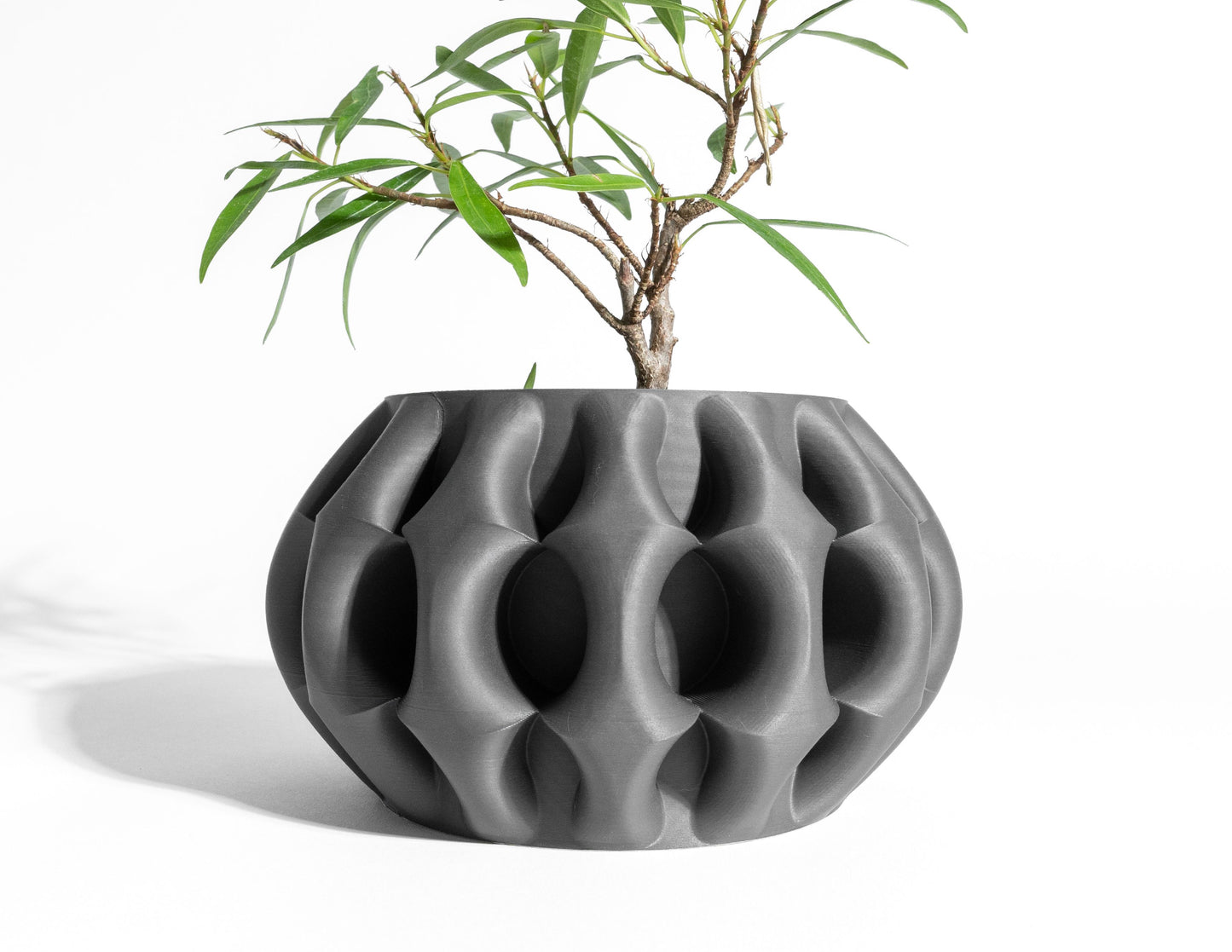 Creative Planter Pot, Sculptural Succulent Holder, Desk Organizer, Bedside Table Decor, Black indoorplanter