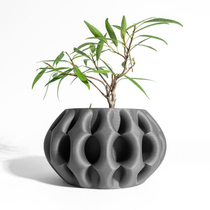 Creative Planter Pot, Sculptural Succulent Holder, Desk Organizer, Bedside Table Decor, Black indoorplanter