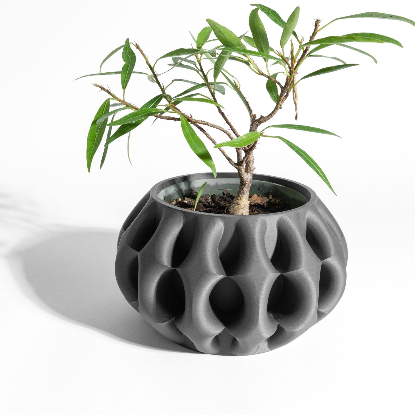 Creative Planter Pot, Sculptural Succulent Holder, Desk Organizer, Bedside Table Decor, Black indoorplanter