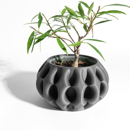 Creative Planter Pot, Sculptural Succulent Holder, Desk Organizer, Bedside Table Decor, Black indoorplanter