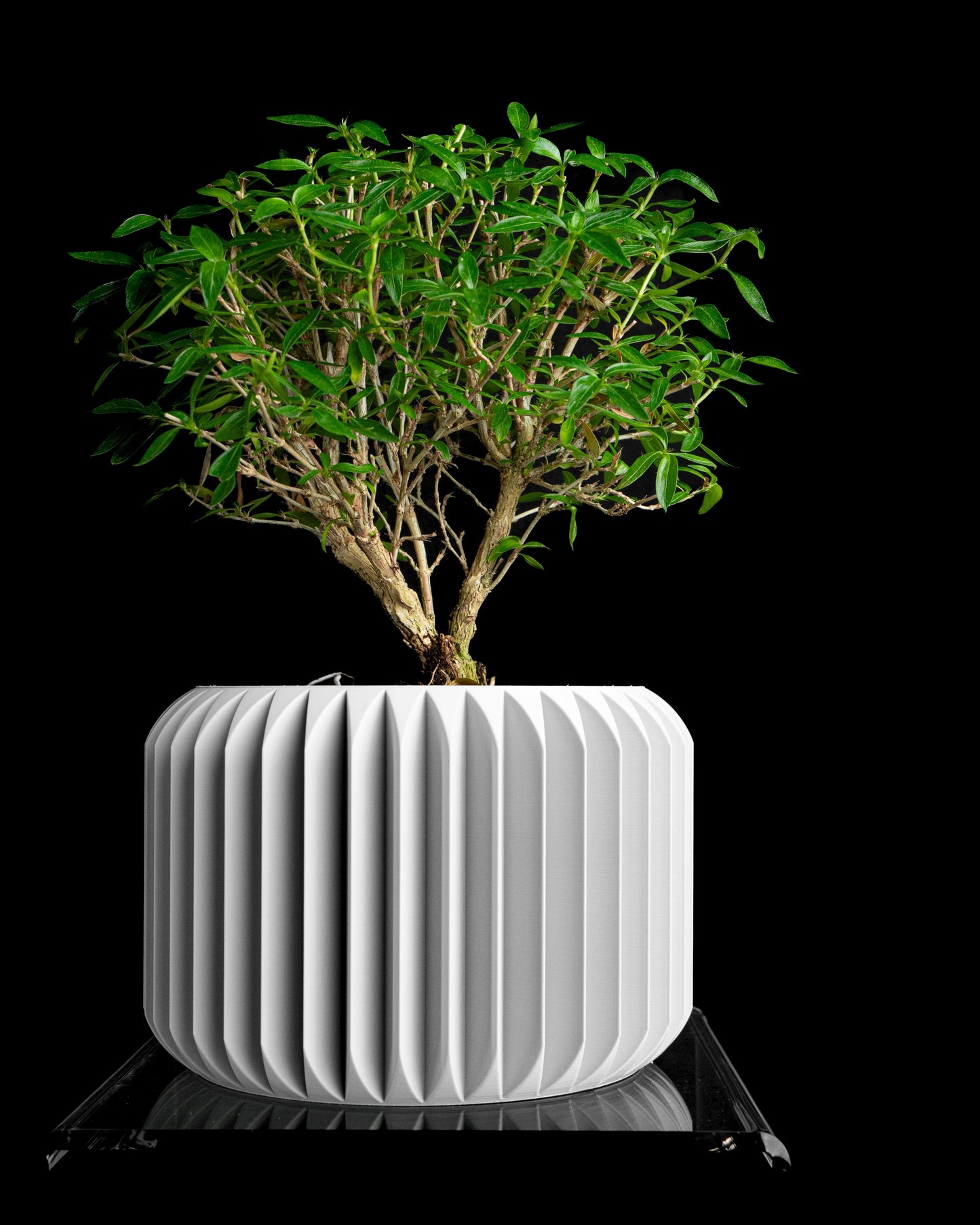 Succulent Pot, Minimalist Geometric Vessel, Modern Desk Accent, Nordic Statement