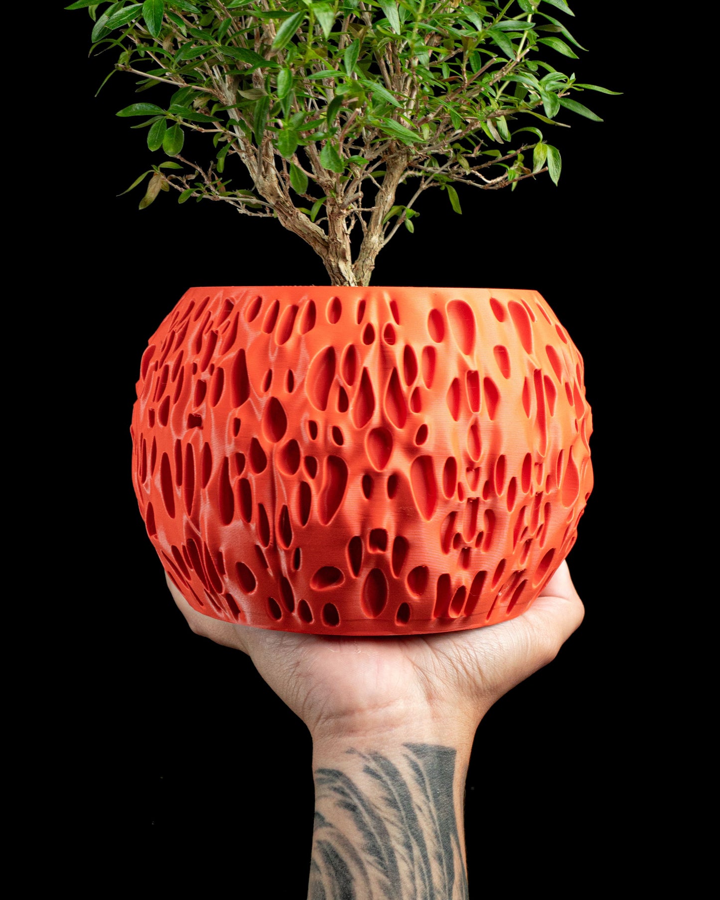 Geometric Planter, Succulent Vessel, Indoor Herb Holder, Modern Minimalist Accent