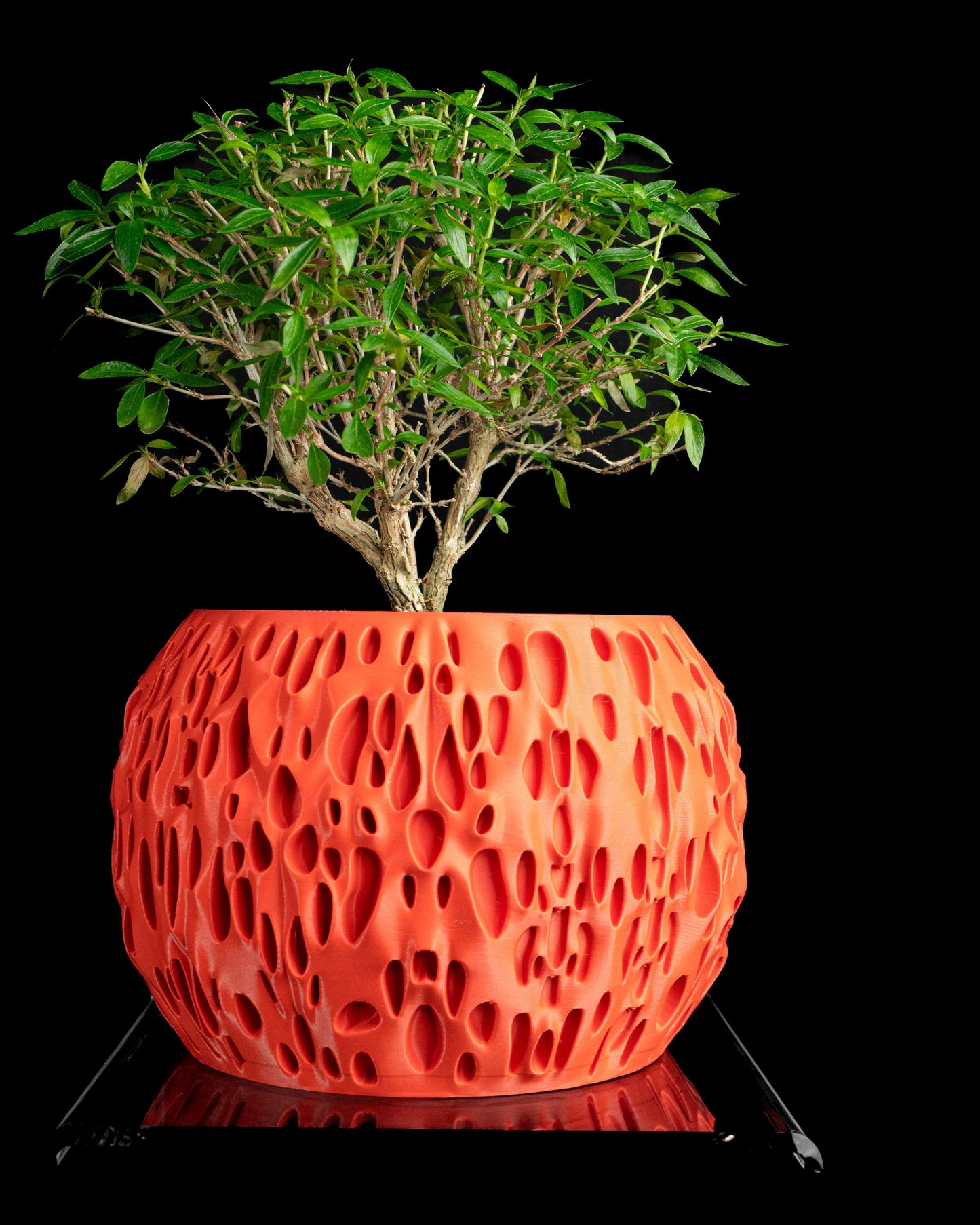 Geometric Planter, Succulent Vessel, Indoor Herb Holder, Modern Minimalist Accent