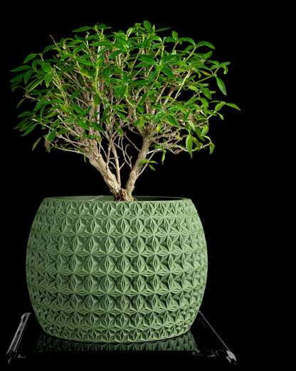 Planter pot, geometric succulent holder, minimalist indoor organizer, modern Nordic