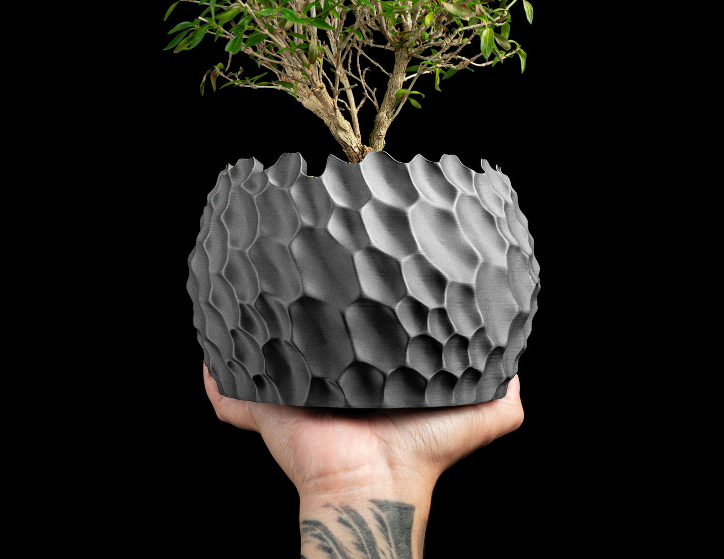 Succulent Planter, Geometric Sculptural Dune Terracotta, Desk Accent, Modern Japandi