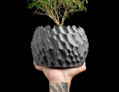 Succulent Planter, Geometric Sculptural Dune Terracotta, Desk Accent, Modern Japandi