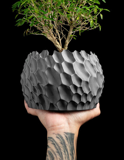 Succulent Planter, Geometric Sculptural Dune Terracotta, Desk Accent, Modern Japandi