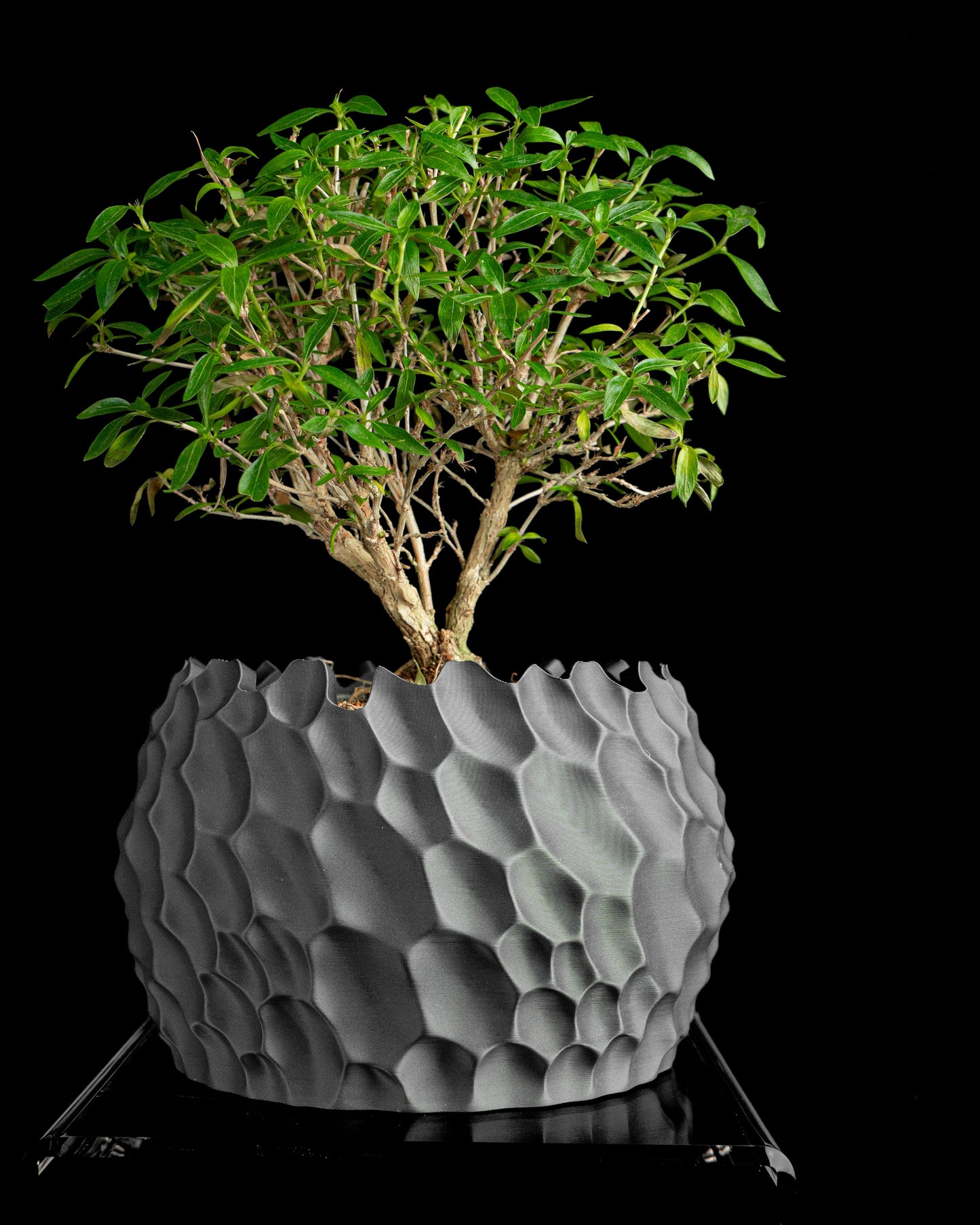 Succulent Planter, Geometric Sculptural Dune Terracotta, Desk Accent, Modern Japandi