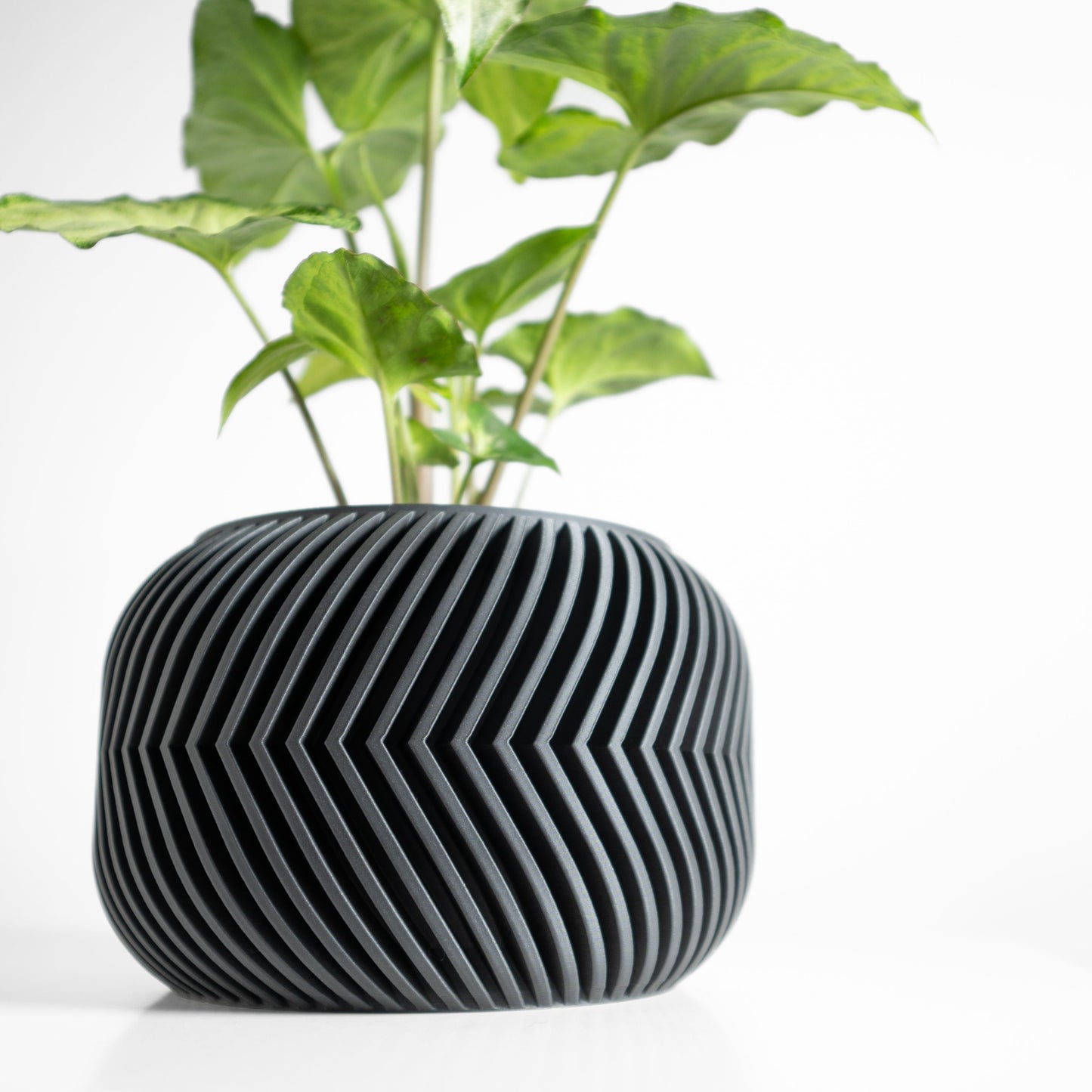 Geometric Planter, Indoor Herb Holder, Succulent Pot, Nordic Countertop Organizer