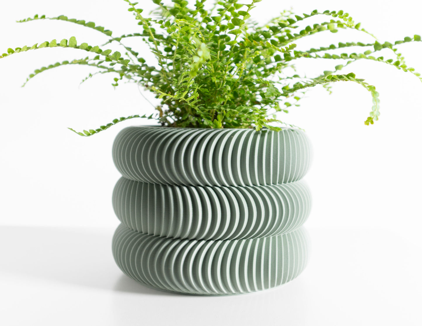 Succulent Planter, Indoor Plant Holder, Desk Organizer, SustainablyCrafted Sculptural Pot