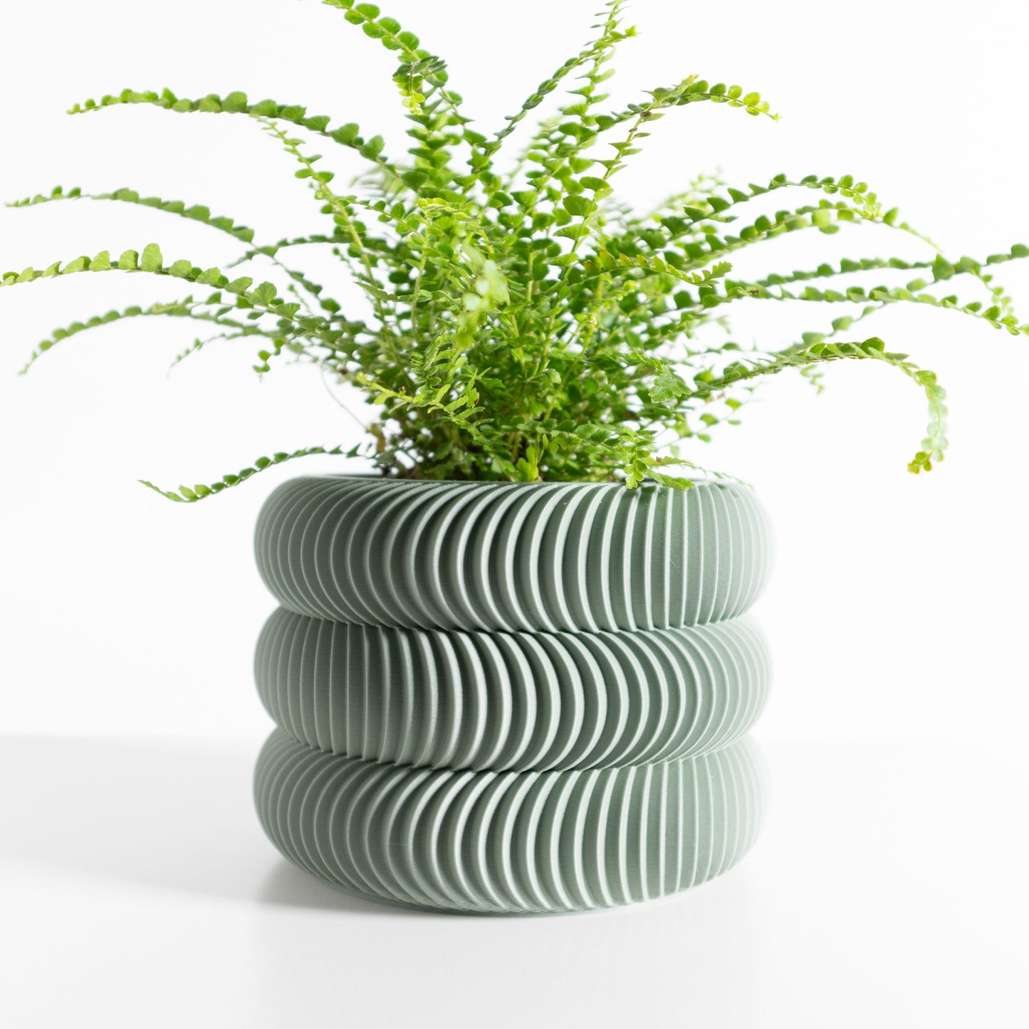 Succulent Planter, Indoor Plant Holder, Desk Organizer, SustainablyCrafted Sculptural Pot