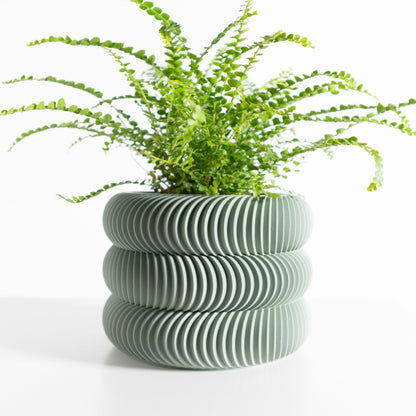 Succulent Planter, Indoor Plant Holder, Desk Organizer, SustainablyCrafted Sculptural Pot