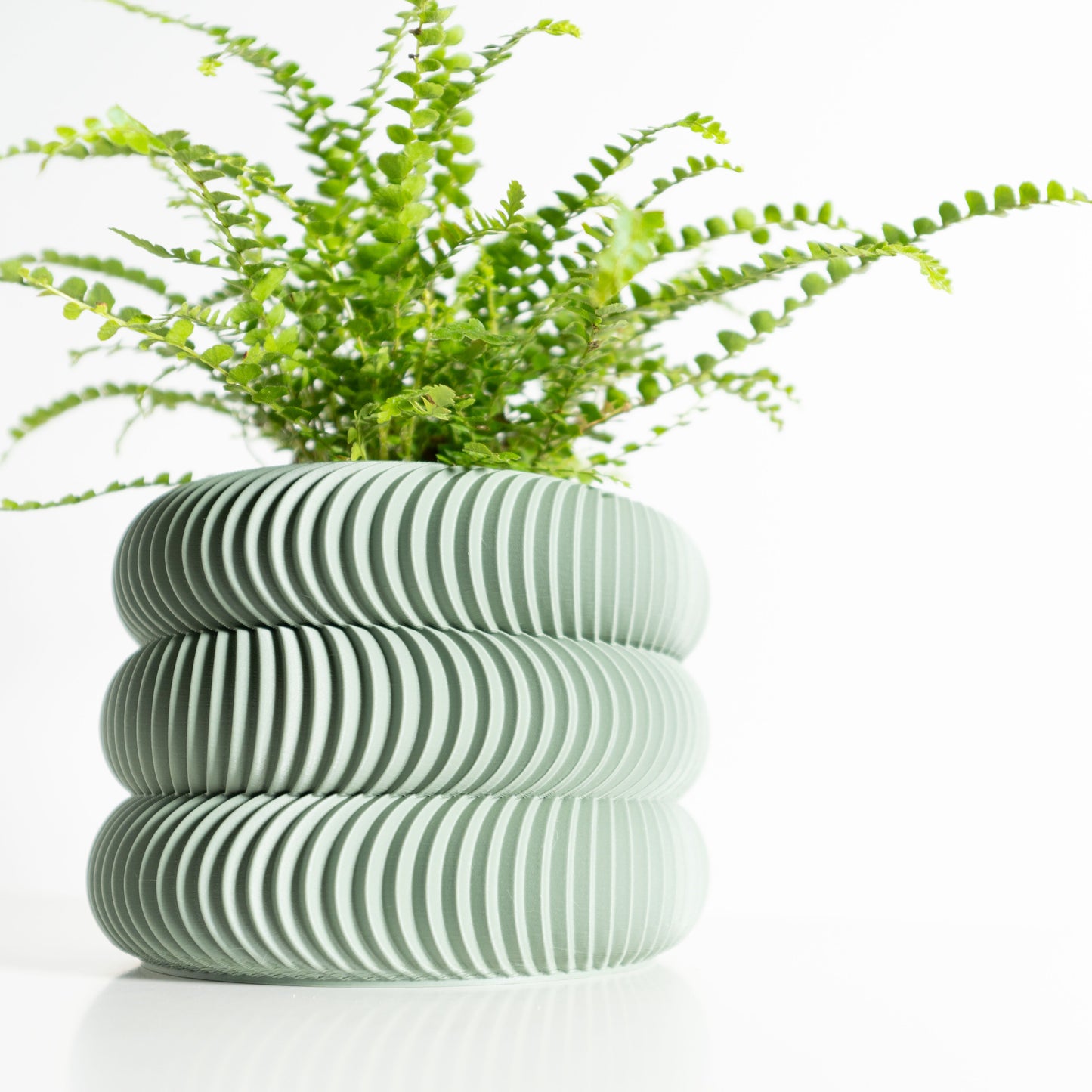 Succulent Planter, Indoor Plant Holder, Desk Organizer, SustainablyCrafted Sculptural Pot