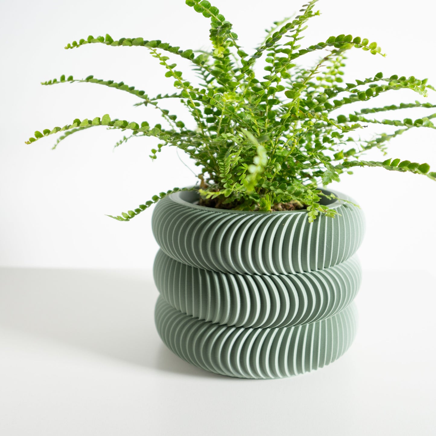 Succulent Planter, Indoor Plant Holder, Desk Organizer, SustainablyCrafted Sculptural Pot