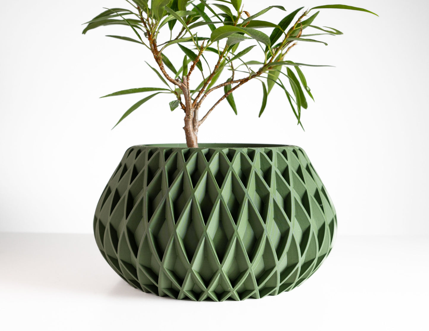 Modern Minimalist Indoor Planter, Succulent Desk Holder, Houseplant Bust, Eco Decoration, Shelf Plant