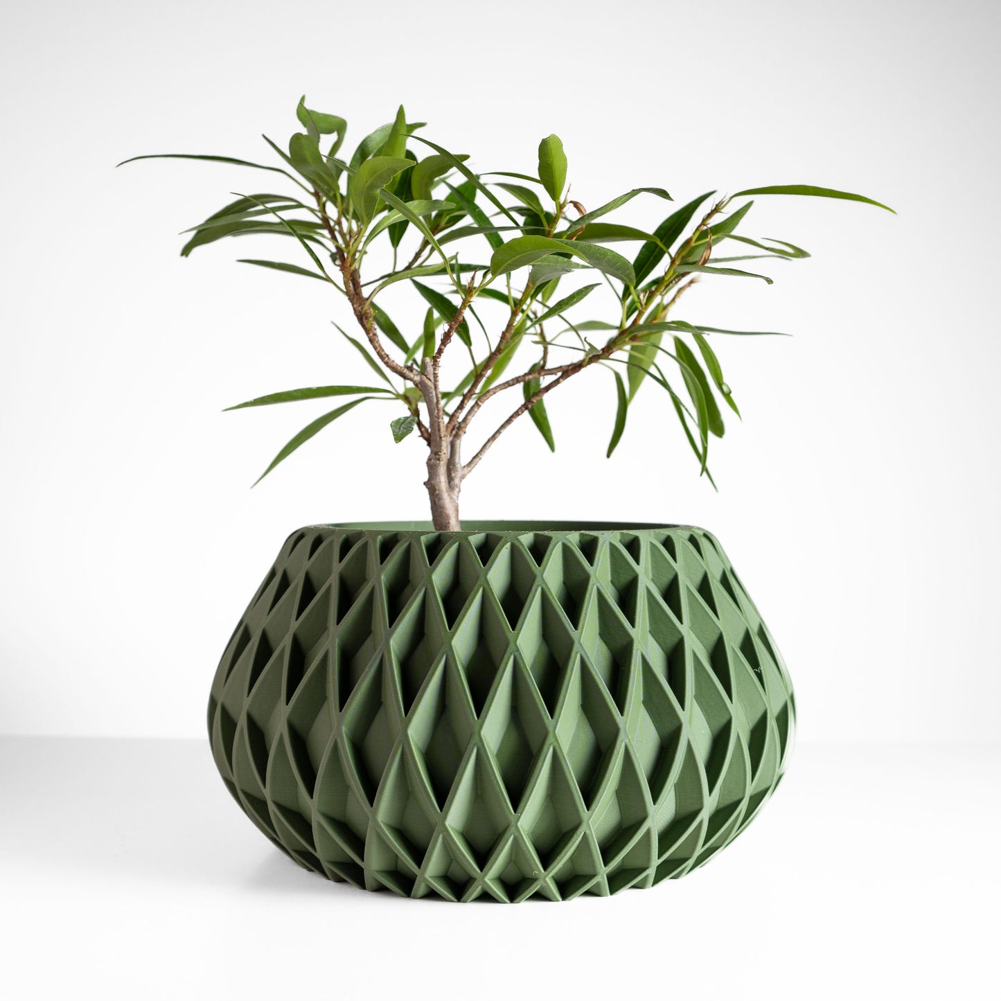 Modern Minimalist Indoor Planter, Succulent Desk Holder, Houseplant Bust, Eco Decoration, Shelf Plant