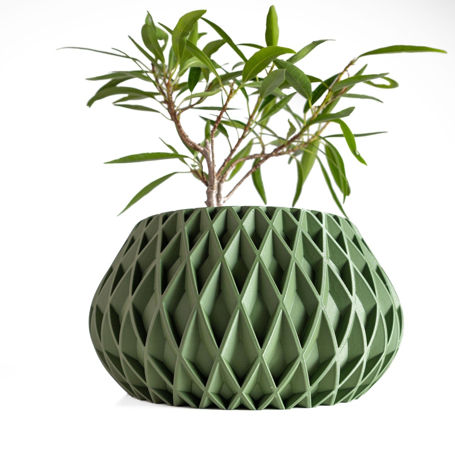 Modern Minimalist Indoor Planter, Succulent Desk Holder, Houseplant Bust, Eco Decoration, Shelf Plant