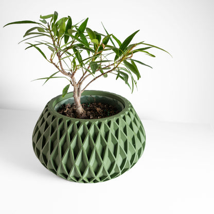 Modern Minimalist Indoor Planter, Succulent Desk Holder, Houseplant Bust, Eco Decoration, Shelf Plant