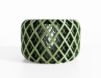 Orchid Pot Tray, Sculptural Root-View Planter, Modern Matte, Artistic Sculptural Flowering Solution