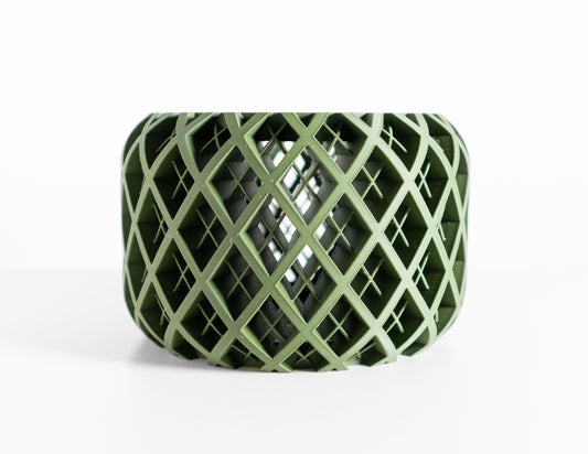 Orchid Pot Tray, Sculptural Root-View Planter, Modern Matte, Artistic Sculptural Flowering Solution