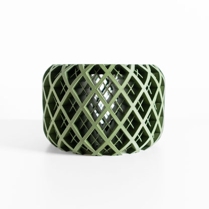 Orchid Pot Tray, Sculptural Root-View Planter, Modern Matte, Artistic Sculptural Flowering Solution