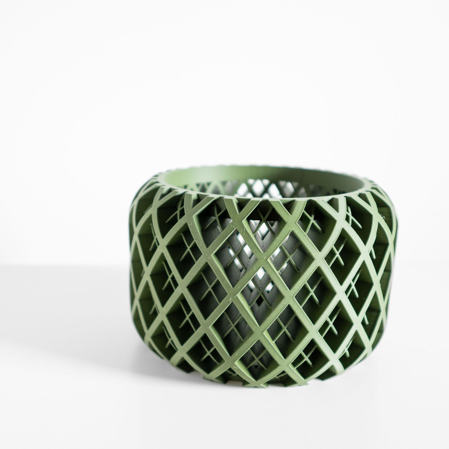 Orchid Pot Tray, Sculptural Root-View Planter, Modern Matte, Artistic Sculptural Flowering Solution