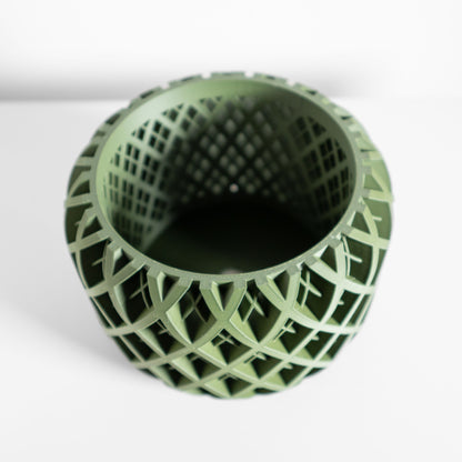 Orchid Pot Tray, Sculptural Root-View Planter, Modern Matte, Artistic Sculptural Flowering Solution