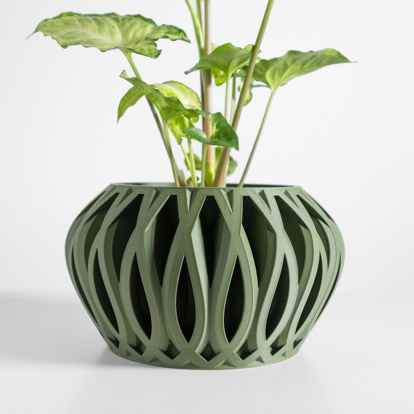 Succulent Planter, Geometric Organizer, Minimalist Indoor Plant Pot, Artistic Decor