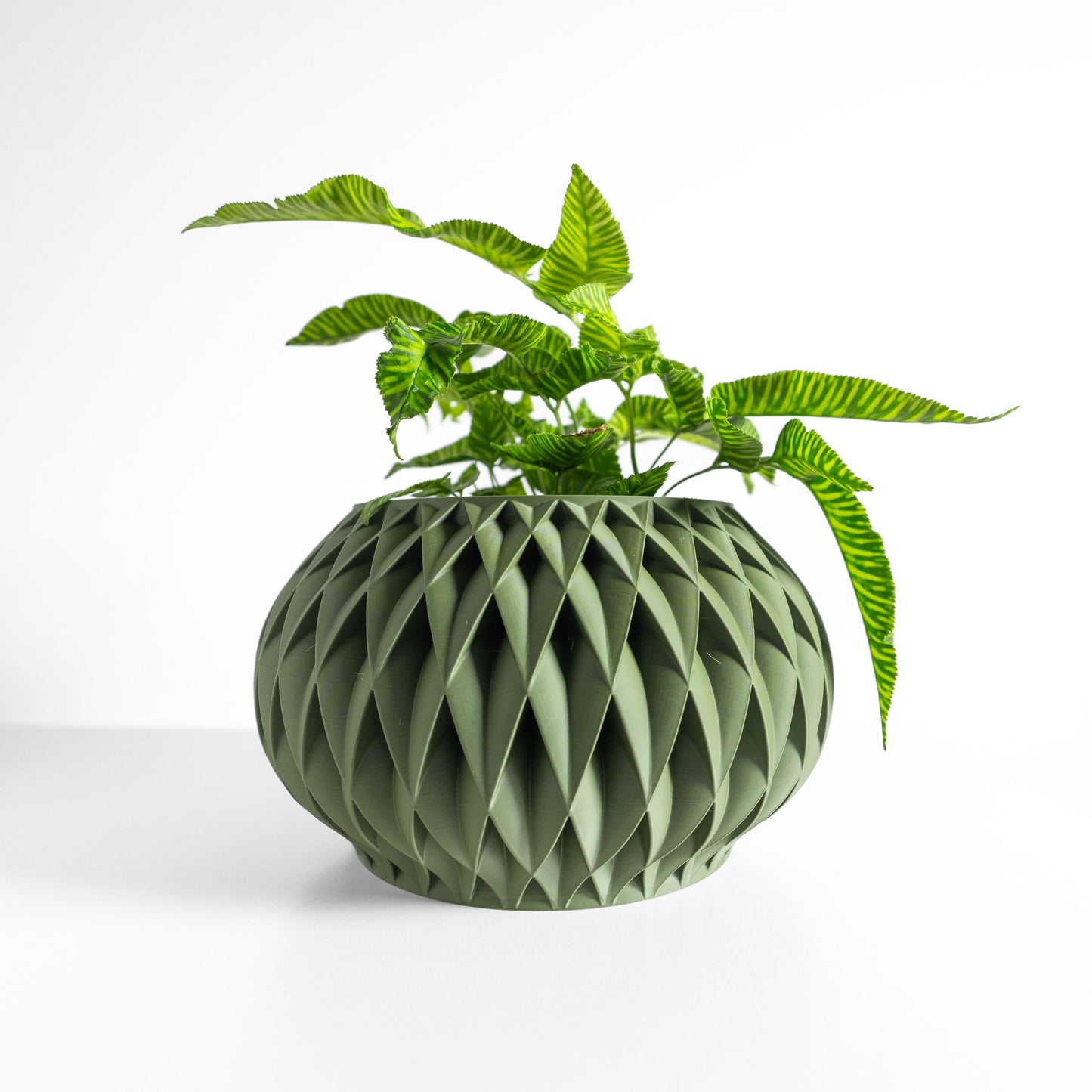 Succulent Planter, Nordic Herbal Holder, Modern Desktop Organizer, Elegant Accent