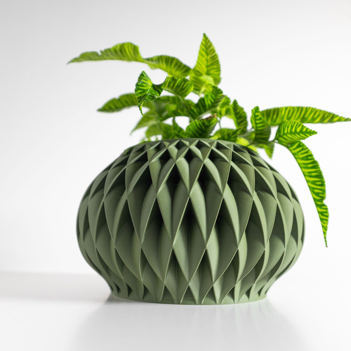 Succulent Planter, Nordic Herbal Holder, Modern Desktop Organizer, Elegant Accent