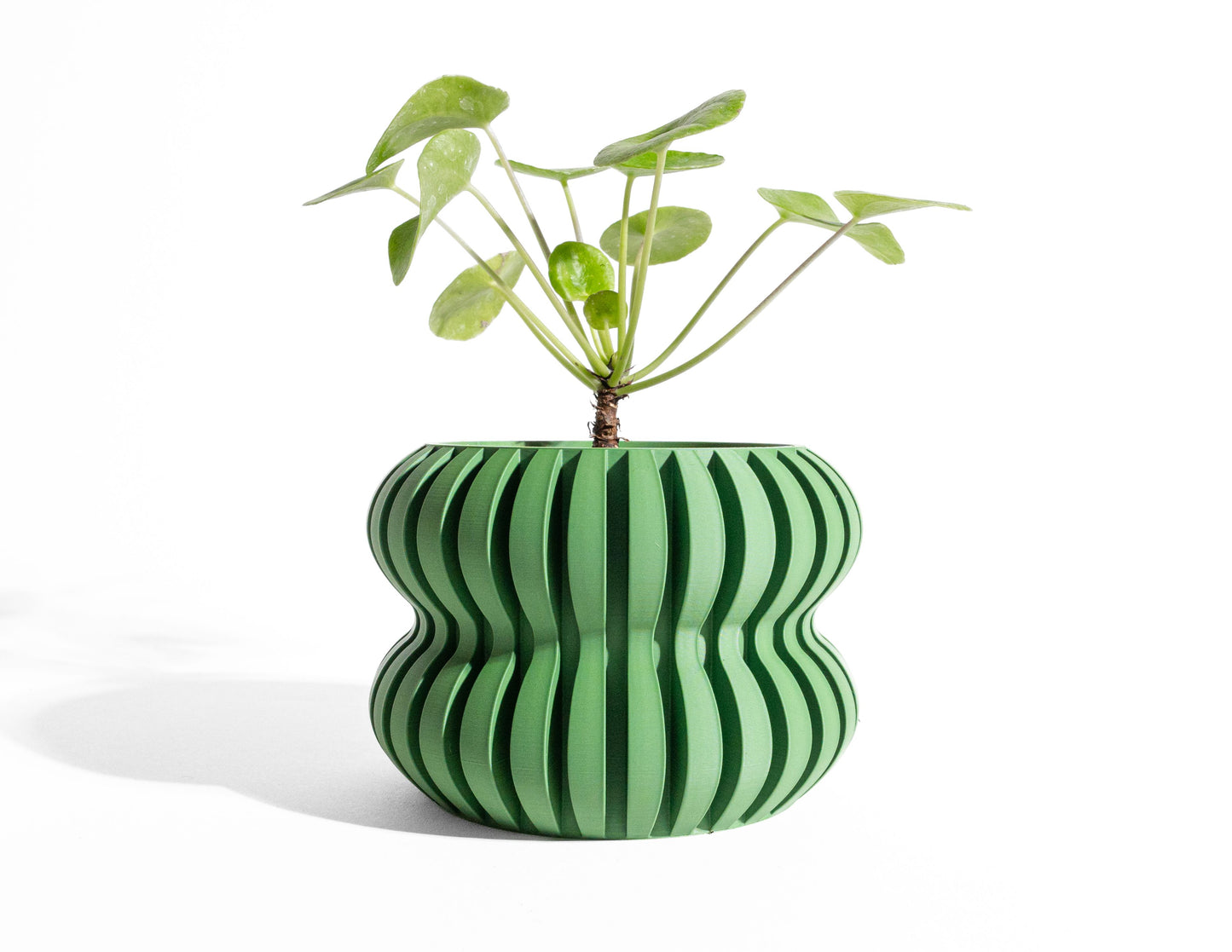 Bold Planter Pot, Modern Shelf Decor, Popular Art Deco, Lightweight Eco Friendly Gift
