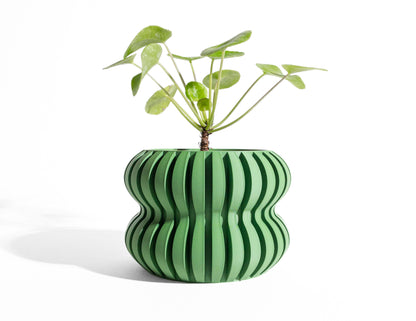 Bold Planter Pot, Modern Shelf Decor, Popular Art Deco, Lightweight Eco Friendly Gift