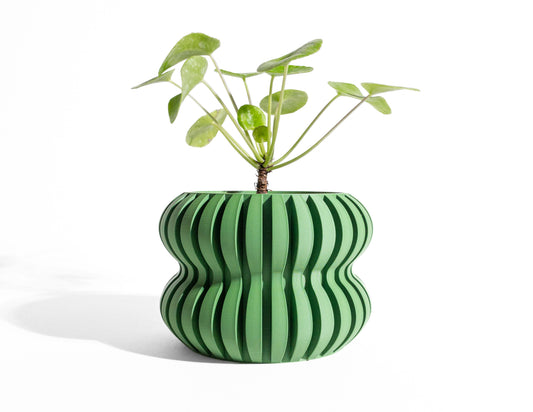 Bold Planter Pot, Modern Shelf Decor, Popular Art Deco, Lightweight Eco Friendly Gift