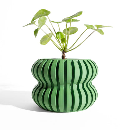 Bold Planter Pot, Modern Shelf Decor, Popular Art Deco, Lightweight Eco Friendly Gift