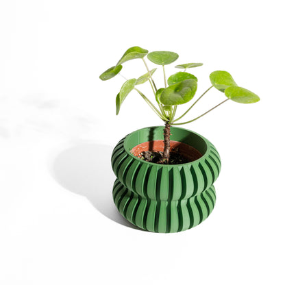 Bold Planter Pot, Modern Shelf Decor, Popular Art Deco, Lightweight Eco Friendly Gift