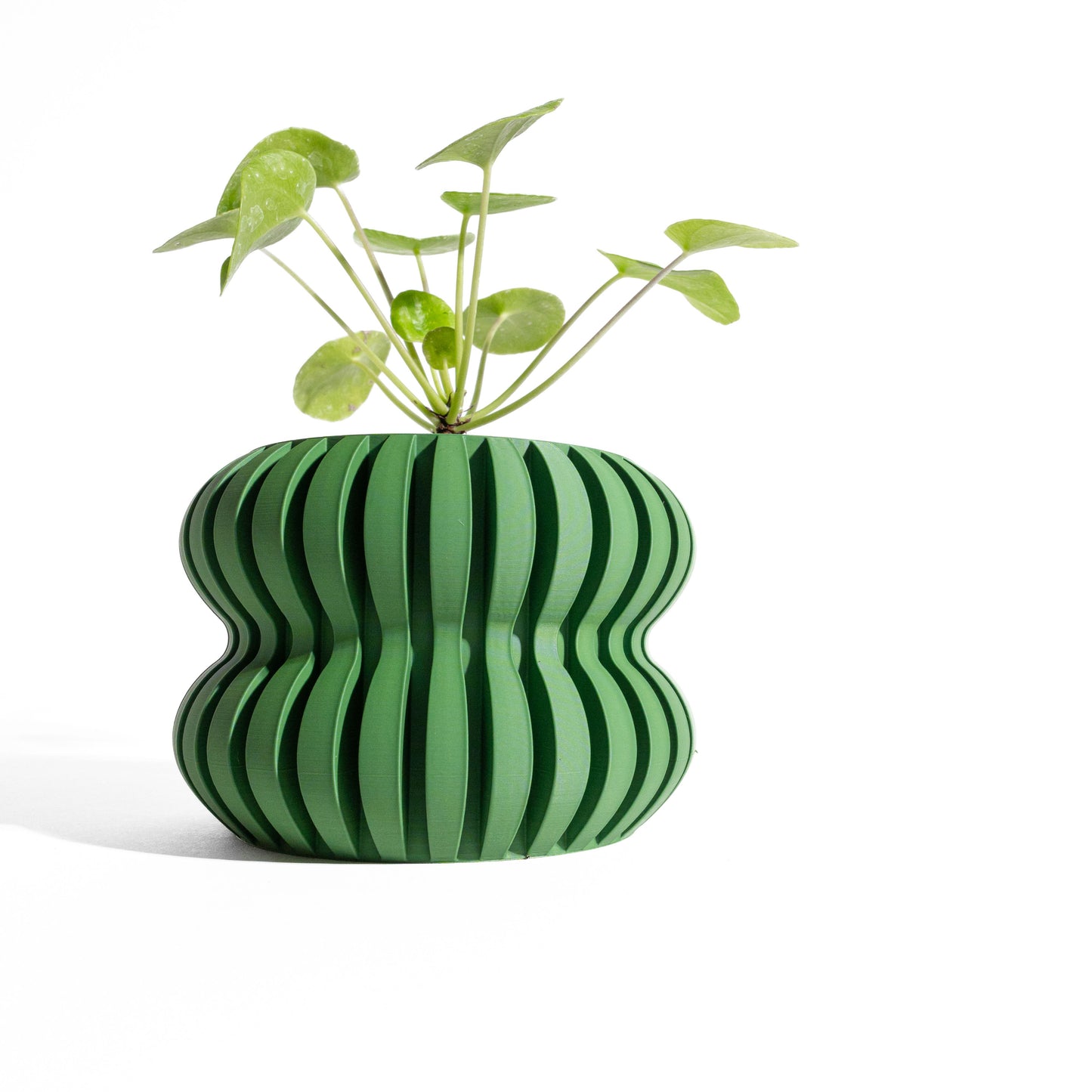 Bold Planter Pot, Modern Shelf Decor, Popular Art Deco, Lightweight Eco Friendly Gift