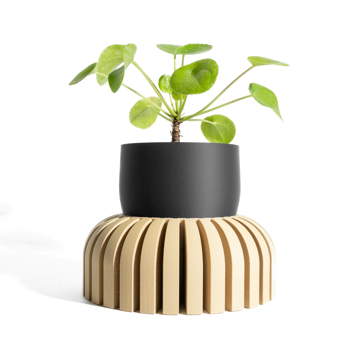 Multi Purpose Planter Pot, Contemporary Scandinavian Minimalist Indoor Planters, Minimal Succulent Desk Organizer