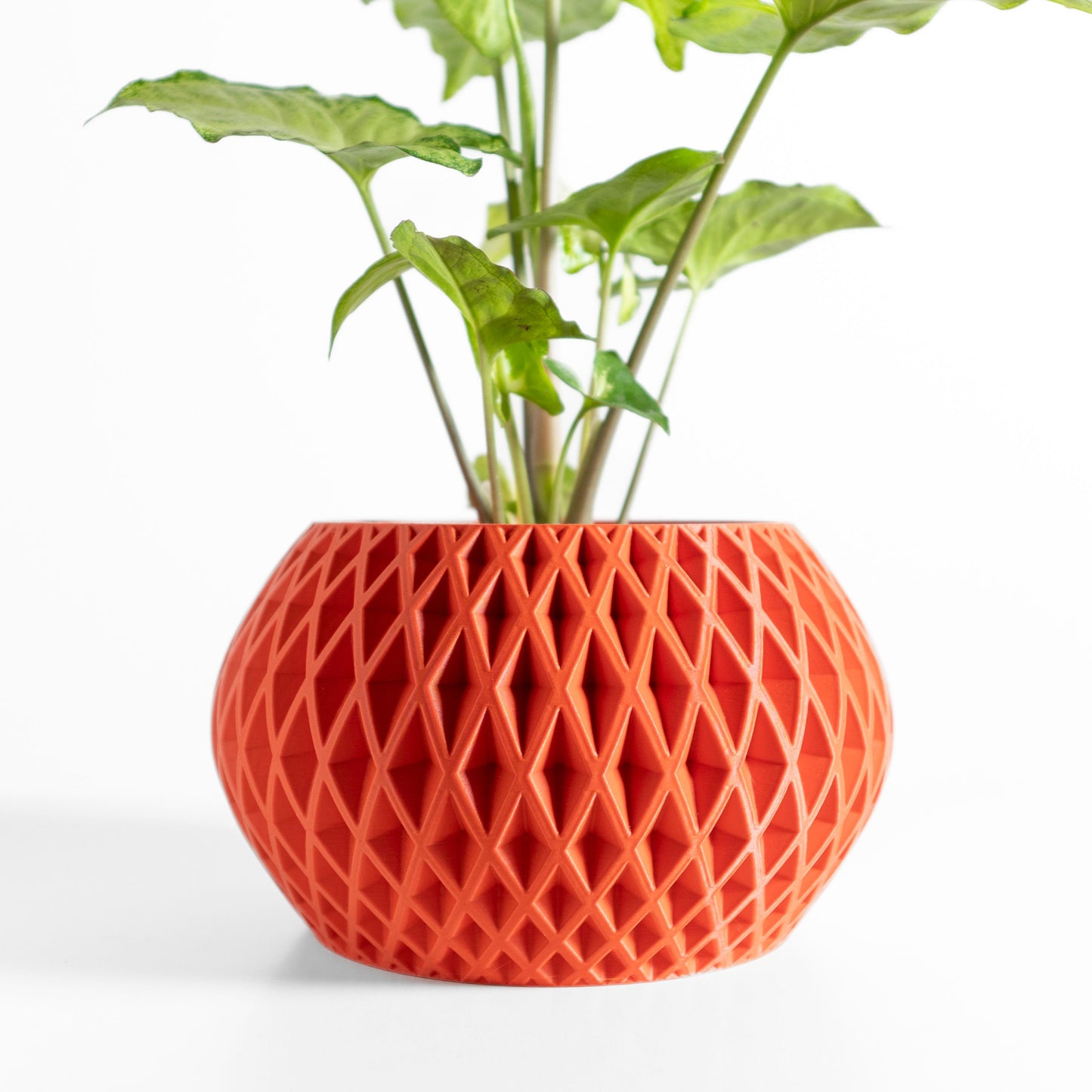 Geometric Planter, Succulent Holder, Minimalist Desk Organizer, Japandi Style Accent