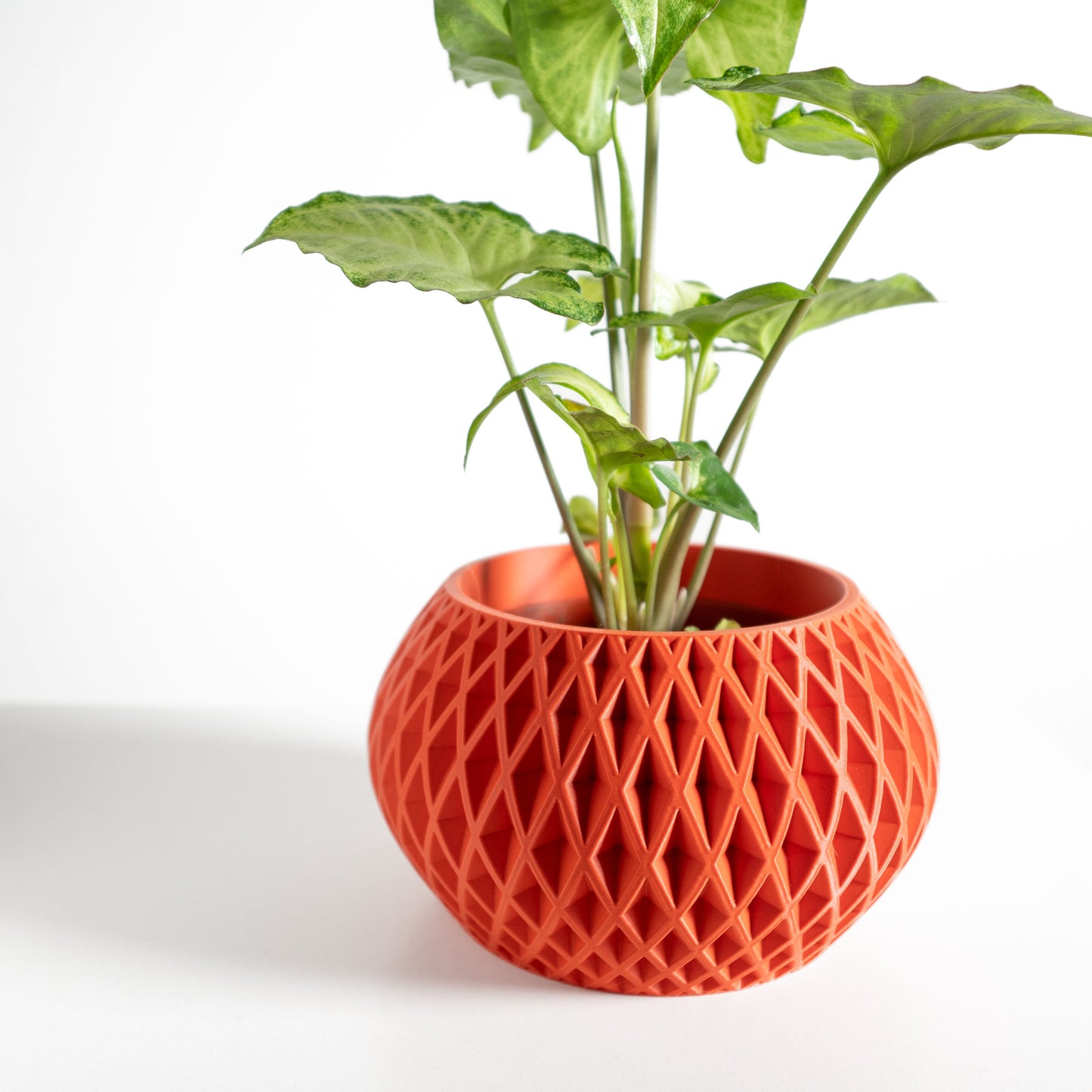 Geometric Planter, Succulent Holder, Minimalist Desk Organizer, Japandi Style Accent