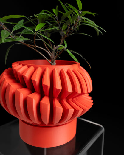 Succulent Planter, Geometric Desk Organizer, Minimalist Indoor Herb Holder, Modern