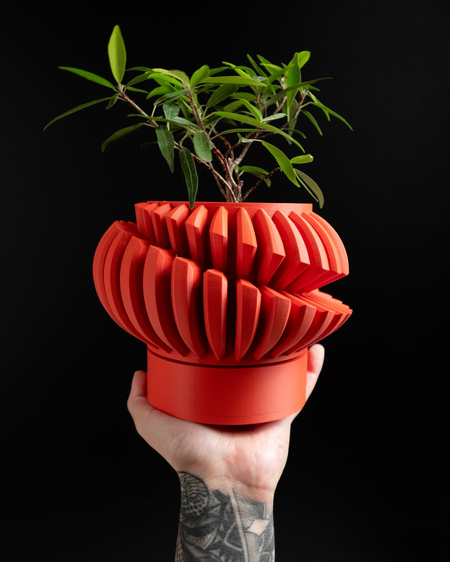 Succulent Planter, Geometric Desk Organizer, Minimalist Indoor Herb Holder, Modern