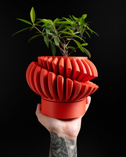 Succulent Planter, Geometric Desk Organizer, Minimalist Indoor Herb Holder, Modern