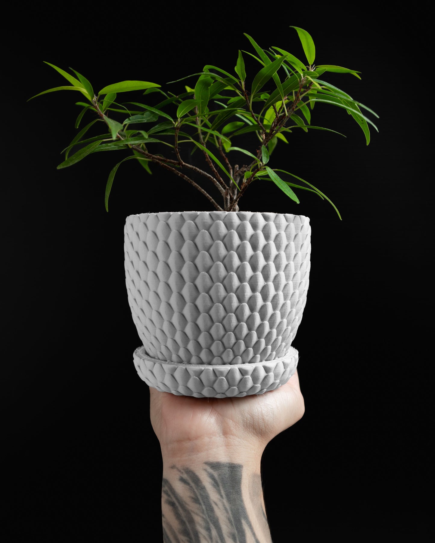 Planter Pot, Succulent Holder, Indoor Container, Minimal Desk, Contemporary Decor