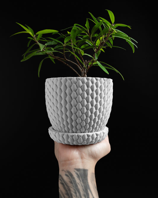 Planter Pot, Succulent Holder, Indoor Container, Minimal Desk, Contemporary Decor