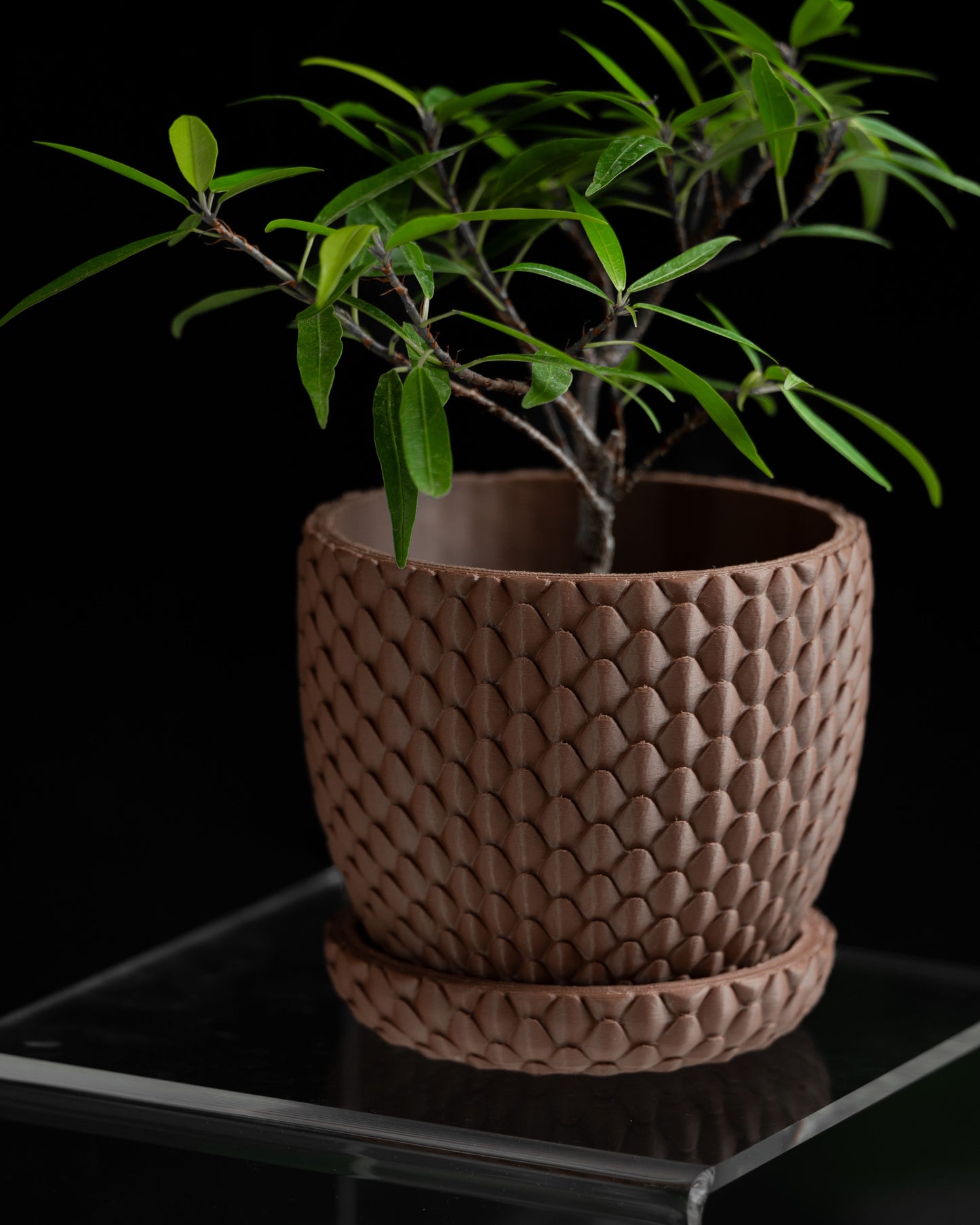 Planter Pot, Succulent Holder, Indoor Container, Minimal Desk, Contemporary Decor